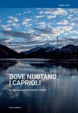 Dove nuotano i caprioli. Acque, memorie, tralicci e r-esistenze in Cadore Dove nuotano i caprioli. Acque, memorie, tralicci e r-esistenze in Cadore