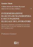Intermediazione illecita di manodopera e occupazione illegale di lavoratori stranieri Intermediazione illecita di manodopera e occupazione illegale di lavoratori stranieri