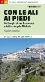 Con le ali ai piedi. Nei luoghi di san Francesco e dell'arcangelo Michele