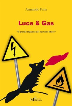 Cover Luce & Gas. «Il grande inganno del mercato libero»