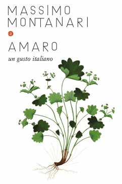 Amaro. Un gusto italiano - Montanari, Massimo