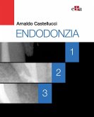 Endodonzia Endodonzia