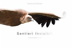 Cover Sentieri invisibili-Evanescent paths