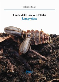Cover Guida delle lucciole d'Italia lampyridae
