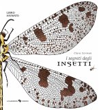 I segreti degli insetti