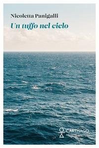 Cover Un tuffo nel cielo