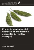 El efecto protector del extracto de Momordica charantia L. (melón amargo)