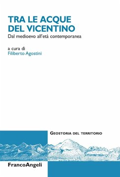 Cover Tra le acque del Vicentino. Dal medioevo all'età contemporanea
