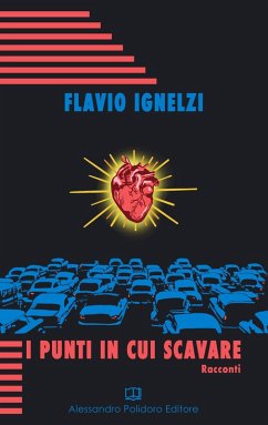 I punti in cui scavare - Ignelzi, Flavio