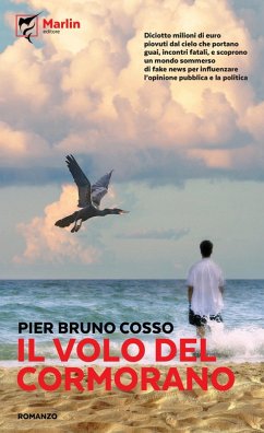 Cover Il volo del cormorano