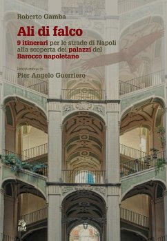Ali di falco. 9 itinerari per le strade di Napoli alla scoperta dei palazzi del Barocco napoletano Cover Ali di falco. 9 itinerari per le strade di Napoli alla scoperta dei palazzi del Barocco napoletano