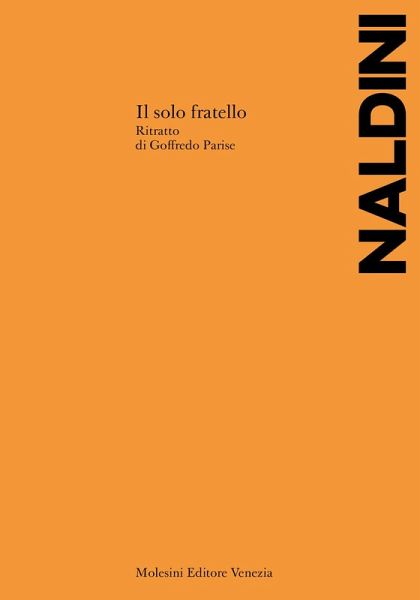 Il solo fratello. Ritratto di Goffredo Parise
