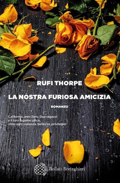 La nostra furiosa amicizia Cover La nostra furiosa amicizia