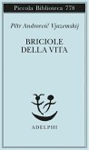 Briciole di vita