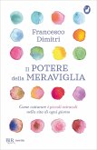 Il potere della meraviglia. Come catturare i piccoli miracoli nella vita di ogni giorno
