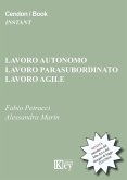 Lavoro autonomo, lavoro parasubordinato, lavoro agile. Le novità introdotte dal Jobs Act e dal disegno di legge 2233/2016 Lavoro autonomo, lavoro parasubordinato, lavoro agile. Le novità introdotte dal Jobs Act e dal disegno di legge 2233/2016