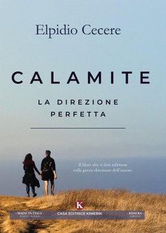 Cover Calamite. La direzione perfetta