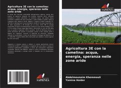 Agricoltura 3E con la camelina: acqua, energia, speranza nelle zone aride Cover Agricoltura 3E con la camelina: acqua, energia, speranza nelle zone aride
