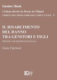 Il risarcimento del danno tra genitori e figli. Profili giurisprudenziali Il risarcimento del danno tra genitori e figli. Profili giurisprudenziali