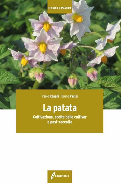 La patata. Coltivazione, scelta delle cultivar e post-raccolta La patata. Coltivazione, scelta delle cultivar e post-raccolta