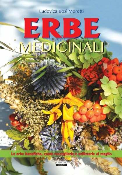 Erbe medicinali. Le erbe benefiche, come raccoglierle e utilizzarle al meglio Erbe medicinali. Le erbe benefiche, come raccoglierle e utilizzarle al meglio
