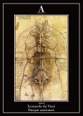 Disegni anatomici