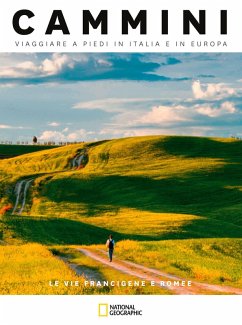 Cover Le vie francigene e romee. Cammini, viaggiare a piedi in Italia e in Europa