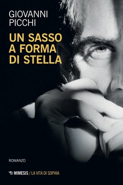 Un sasso a forma di stella - Picchi, Giovanni