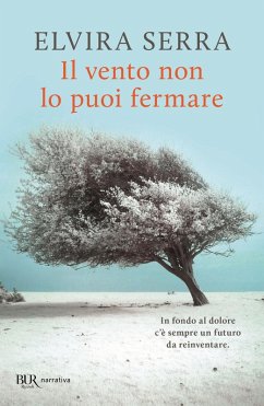 Cover Il vento non lo puoi fermare
