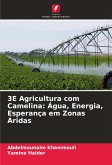 3E Agricultura com Camelina: Água, Energia, Esperança em Zonas Áridas
