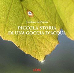 Piccola storia di una goccia d'acqua - de Persiis, Gaetano