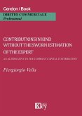 Contributions in kind without the sworn estimation of the expert. An alternative to the company capital contribution