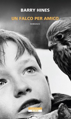 Cover Un falco per amico