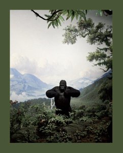 Zoology. Benvenuti nel regno animale - Vigni, Stefano; Narcisi, Chiara