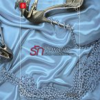 รักโดยพลการ ชุด กรรมสิทธิ์เสน่หา (MP3-Download)