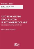 Uno strumento di garanzia. Il pegno irregolare. Profili giurisprudenziali Uno strumento di garanzia. Il pegno irregolare. Profili giurisprudenziali