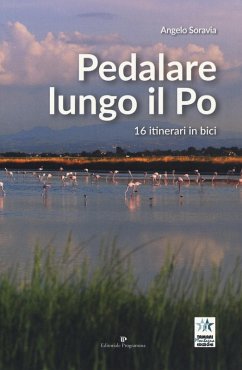 Cover Pedalare lungo il Po. 16 itinerari in bici