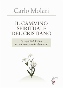 Cover Il Cammino spirituale del cristiano. La sequela di Cristo nel nuovo orizzonte planetario