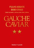 Gauche caviar. Come salvare il socialismo con l'ironia Gauche caviar. Come salvare il socialismo con l'ironia