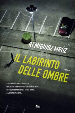 Il labirinto delle ombre Cover Il labirinto delle ombre