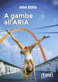 A gambe all'aria A gambe all'aria