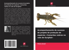 Cover Acompanhamento do sucesso do projeto de proteção de espécies Camarões nobres no vale do Gurgltal