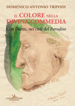 Il colore nella Divina commedia. Con Dante, nei cieli del Paradiso - Tripodi, Domenico Antonio