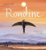 Rondine Rondine