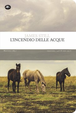 Cover L' incendio delle acque