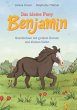 Das kleine Pony Benjamin - Bild 1