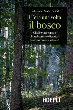 Cover C'era una volta il bosco. Gli alberi raccontano il cambiamento climatico: sarà una pianta a salvarci?