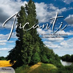 Incanti di terre della Bassa Bresciana tra i fiumi Oglio, Mella e Chiese. Ediz. italiana e inglese - Andrico, Gian Mario; Pezzotta, Mauro