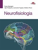 Neurofisiologia Neurofisiologia