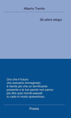 Cover Gli attimi attigui